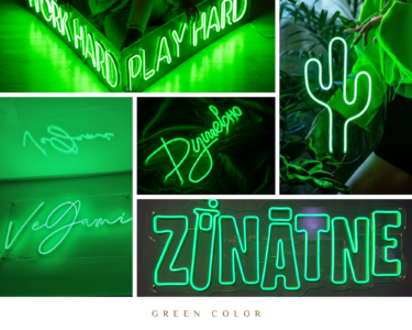 Green LED neon sign examples: Work hard play hard, cactus, signatures and Zinātne