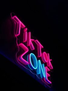 Pink and blue "TikTok Zone" LED neon sign